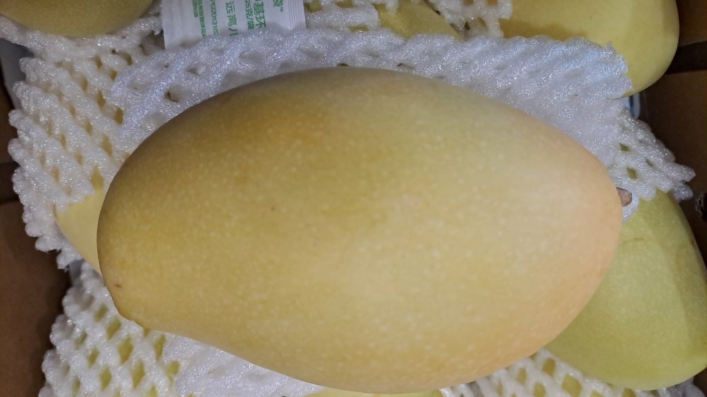    Фото: Уральское таможенное управление