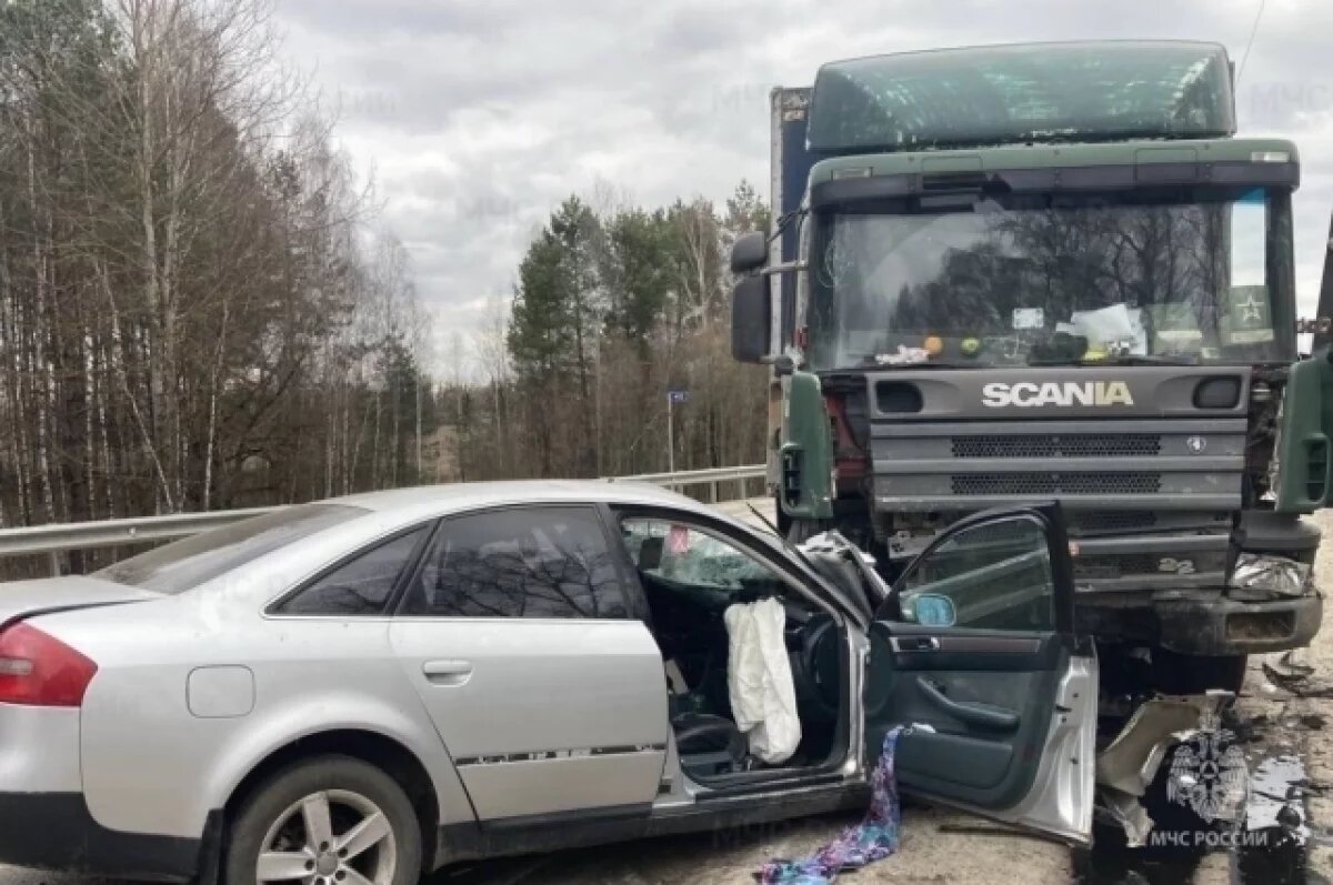    Водитель Audi погиб при столкновении с фурой на брянском участке трассы М-3