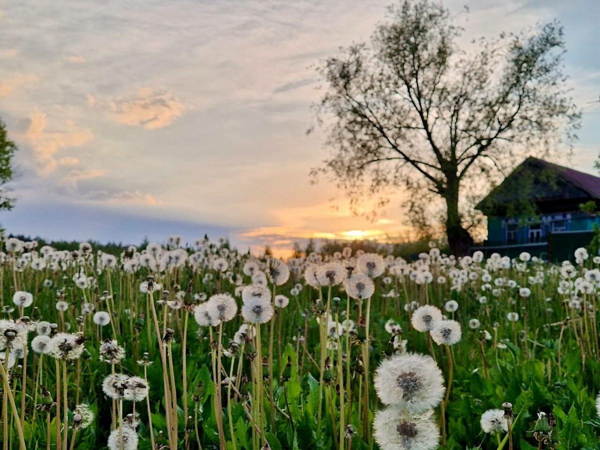 
Фото: © из личного архива Гульшат Нугайбековой