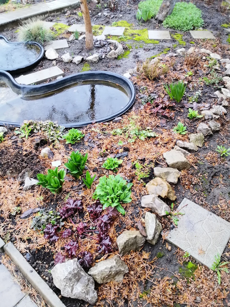 Фото автора, 31.03.2025