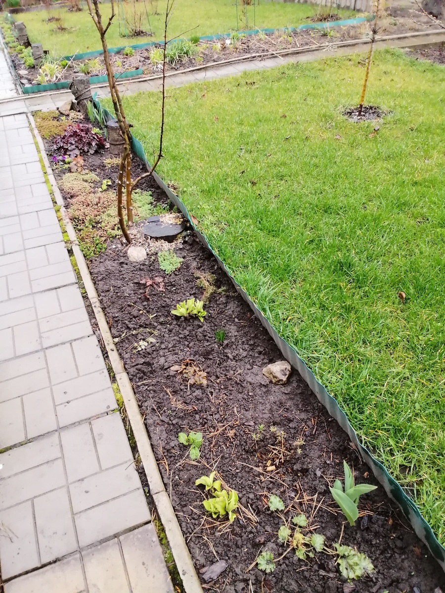 Фото автора, 31.03.2025