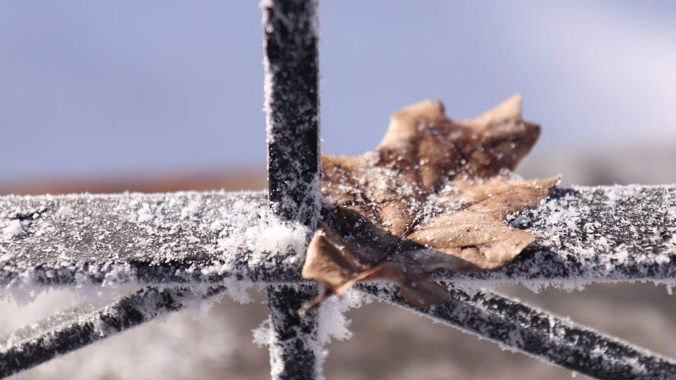 Фото: Зоя Голицына