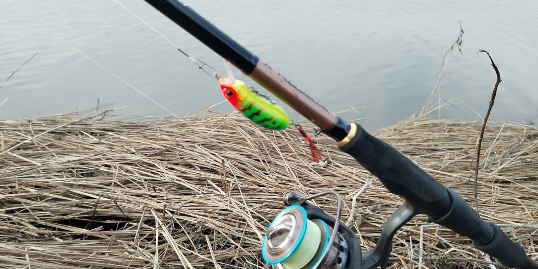 Рыбалка весной. Какая рыба сейчас клюёт и на какие снасти её ловить?