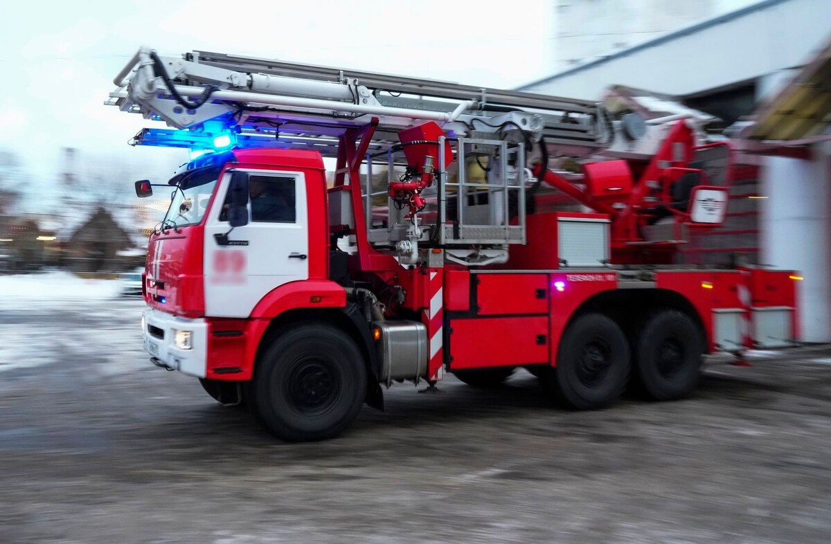     / Источник: © ИЗВЕСТИЯ/Дмитрий Коротаев