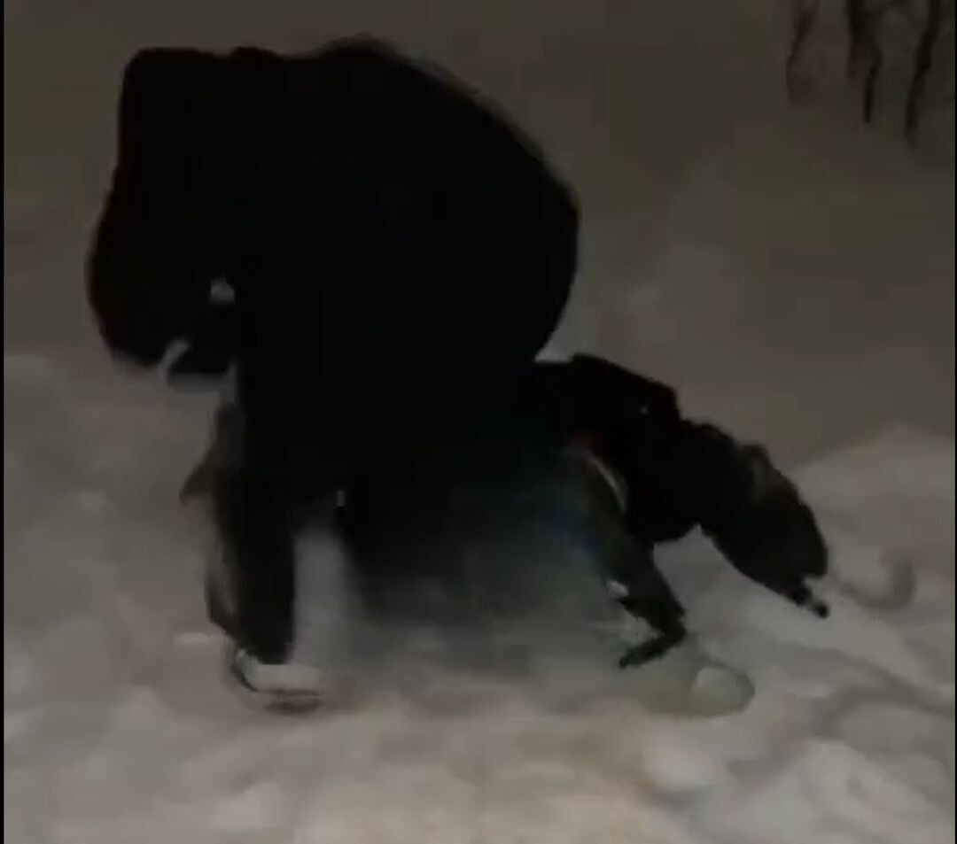 Фото: стопкадр из видео