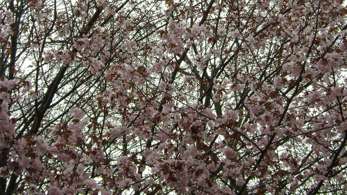     Источник: vostokmedia.com