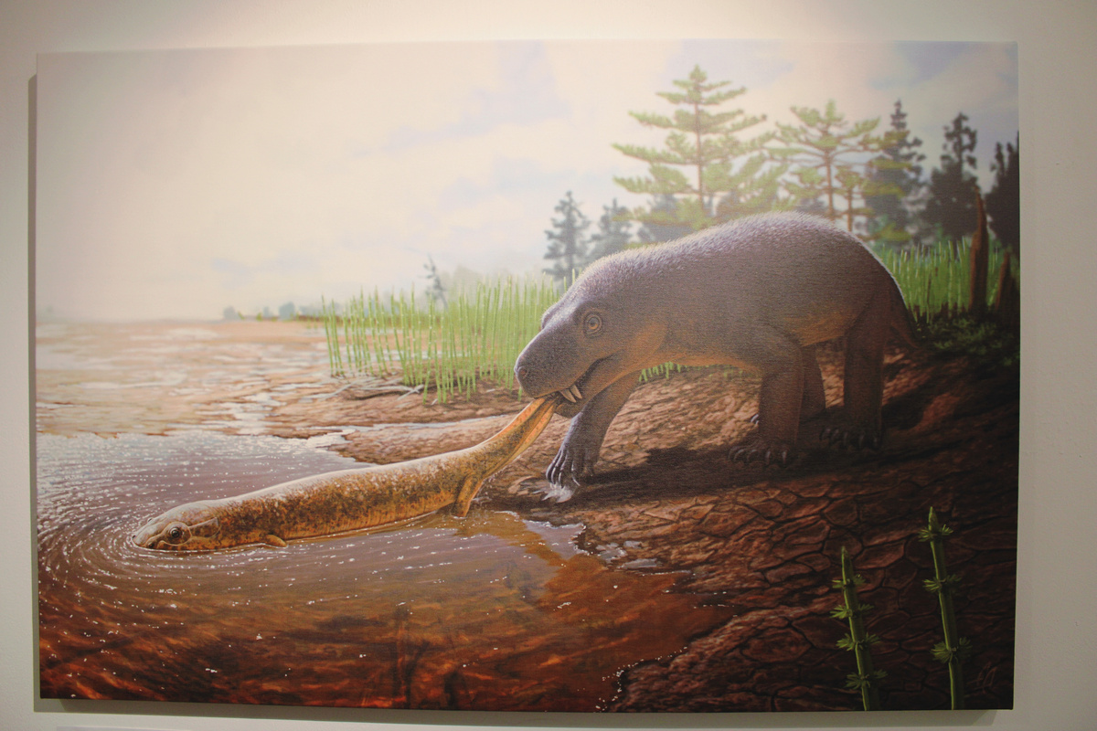 Горыныч и двинозавр. Автор Атучин Андрей Анатольевич