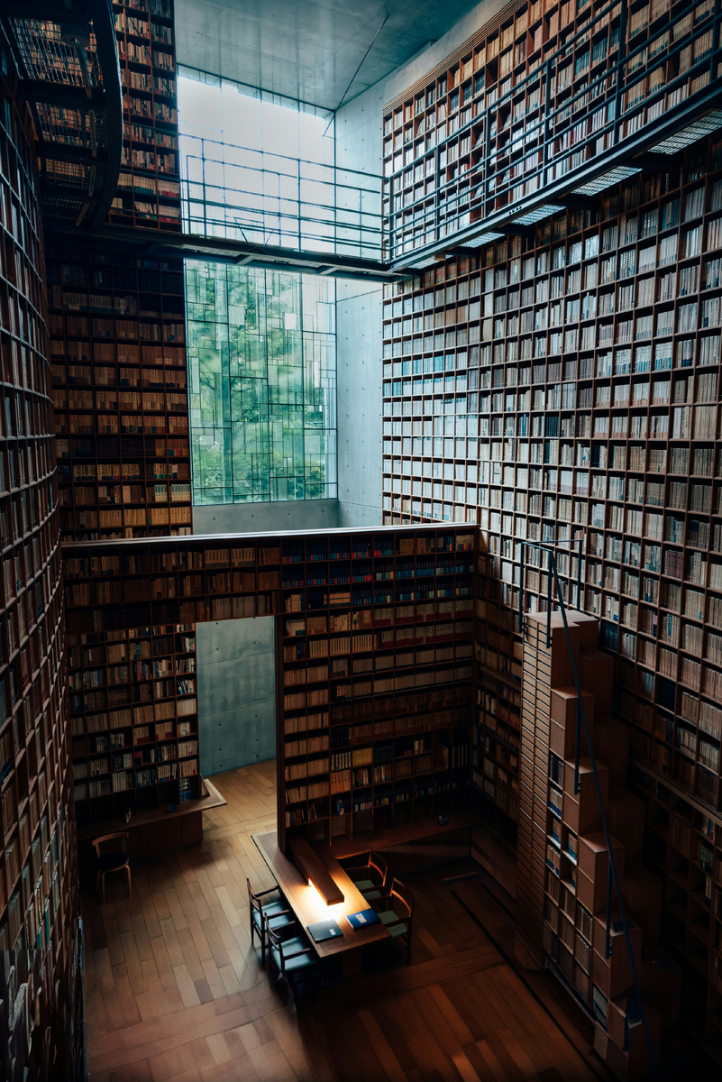© © Peter Thomas https://unsplash.com/@lifeof_peter_