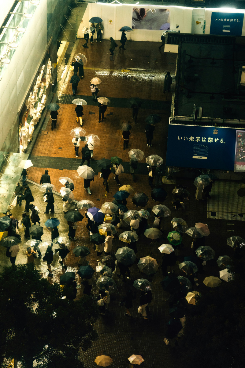 © Peter Thomas https://unsplash.com/@lifeof_peter_