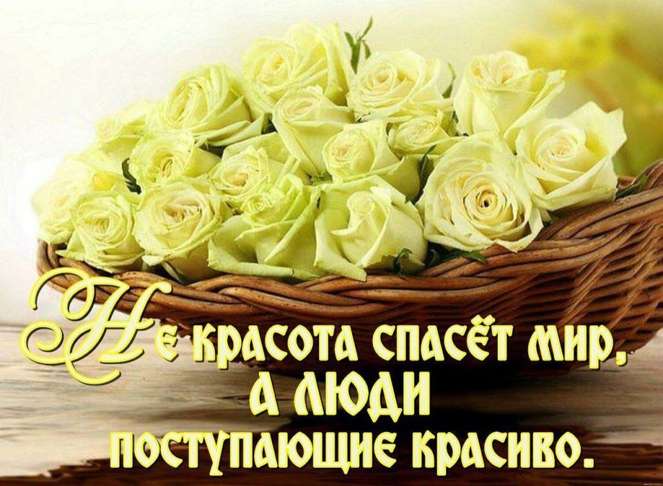 Картинка из интернета. 