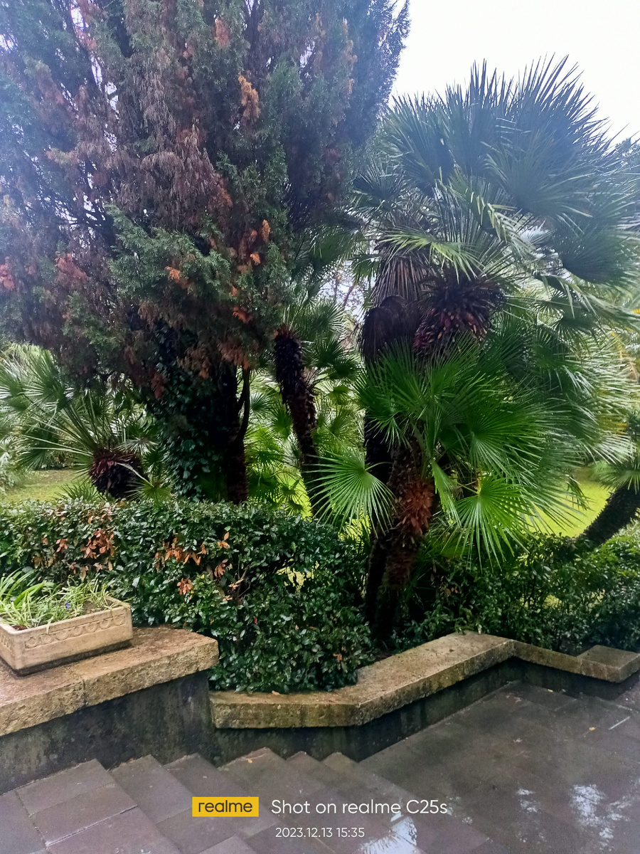 Для настроения!