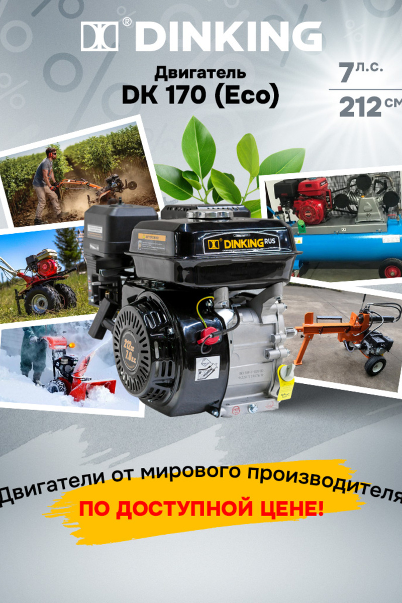 Двигатель DK170 Eco