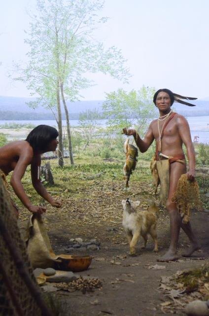 Диорама в Музее Естественной Истории - Ирокезы