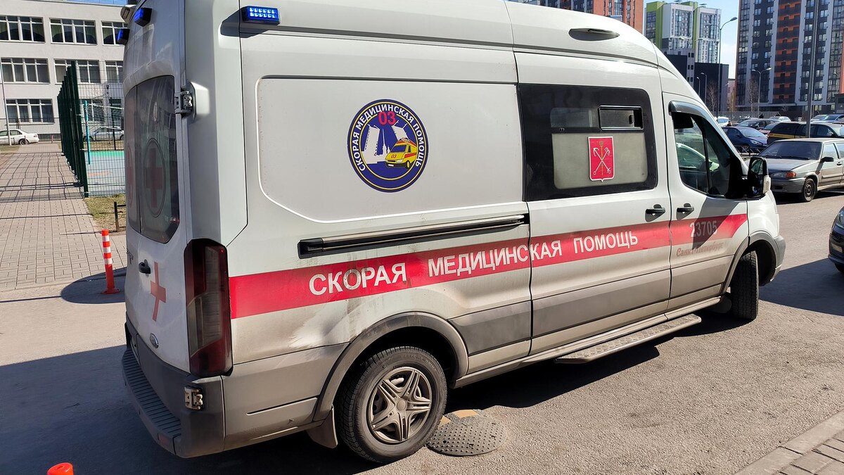    Фото: Maksim Konstantinov/globallookpress.com