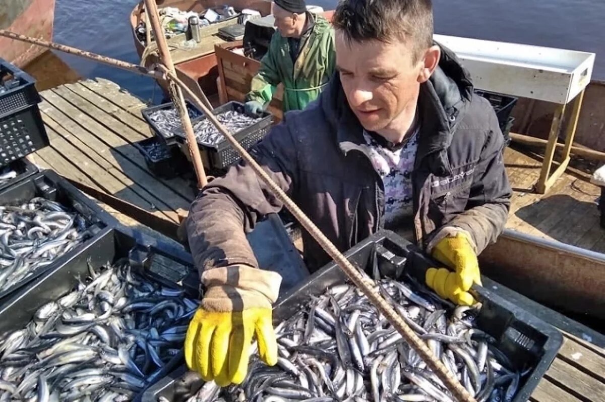    Ямал модернизирует рыбопромысловый флот