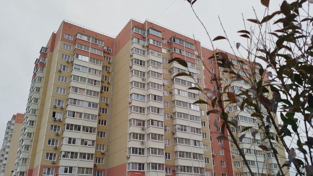    Фото: телеканал «Краснодар»