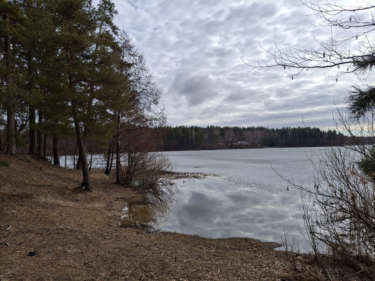 Пустынский участок национального парка "Нижегородское поволжье" им. В.А. Лебедева. Фото: Андрей Георгиев