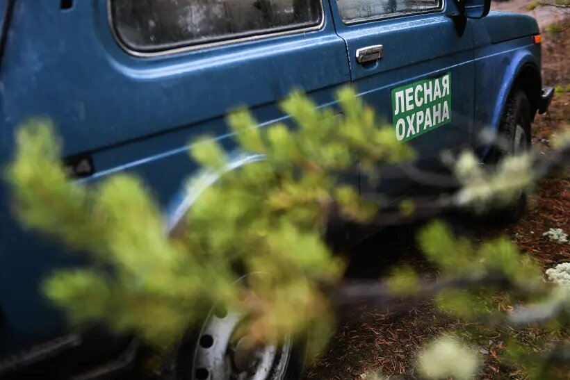     © РИА Новости. Александр Кряжев