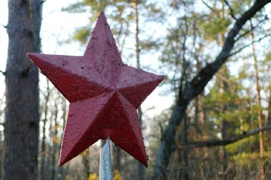 картинка из свободных источников сети