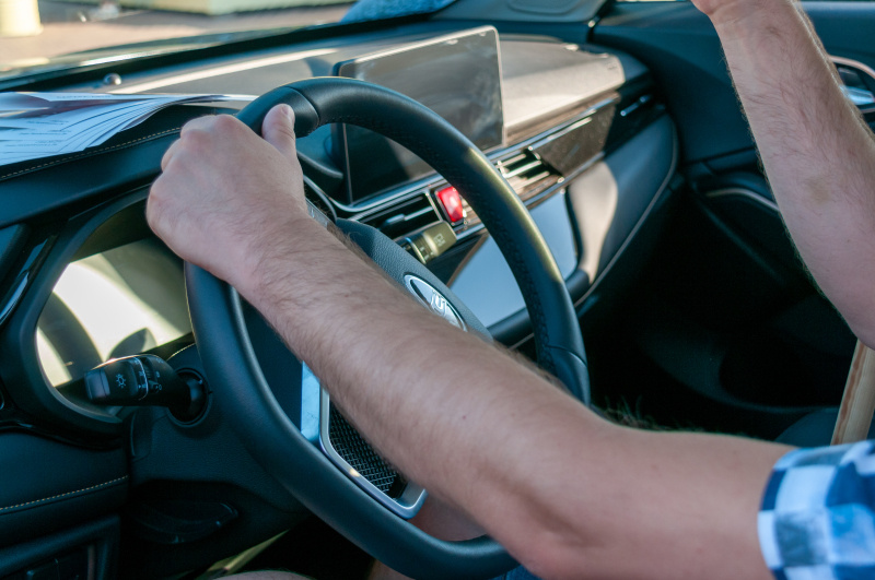    Фото: Svetlana Vozmilova/Globallookpress