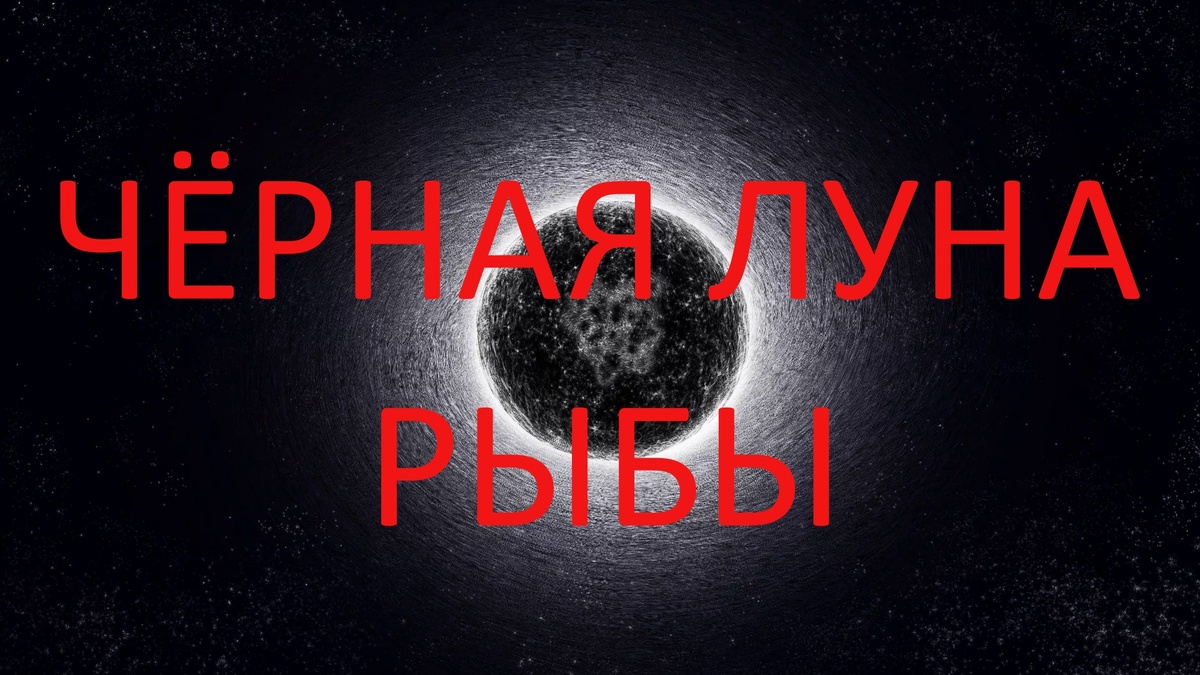 Чёрная Луна. Фото modasadovod.ru