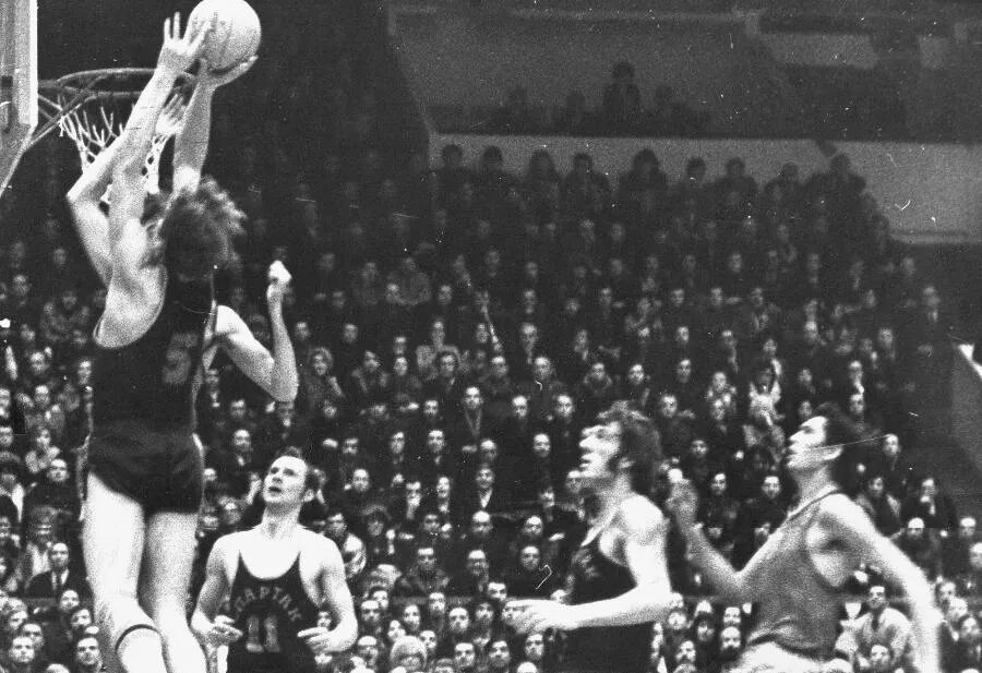 РЕПРОДУКЦИЯ АВТОРА