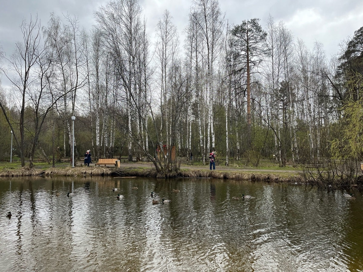    Фото: «Про Город»