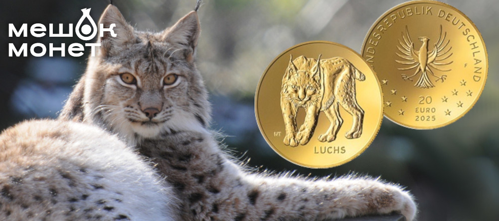    Обложка статьи