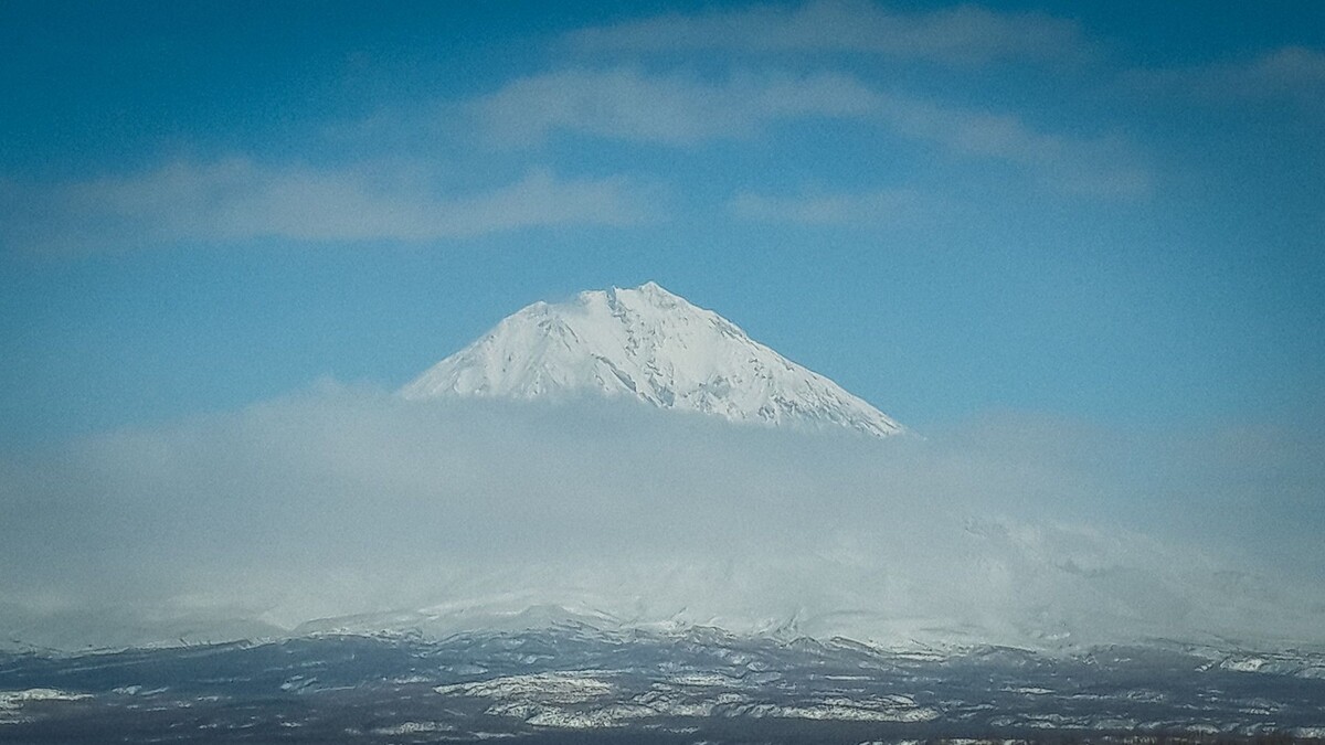     Источник: 1MI