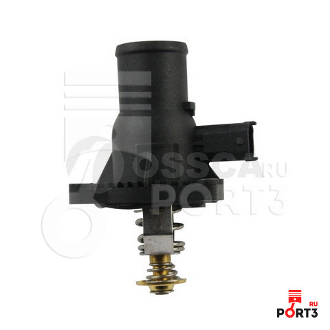 Фото из PORT3.RU