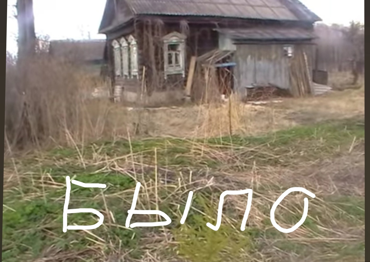 Вот один раз я зашла в очередной раз на Авито и увидела объявление о продаже пустого участка в одной из деревень недалеко от города. 