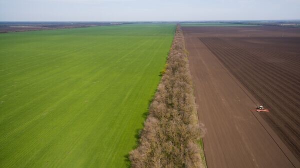    © Sputnik / Виталий Тимкив