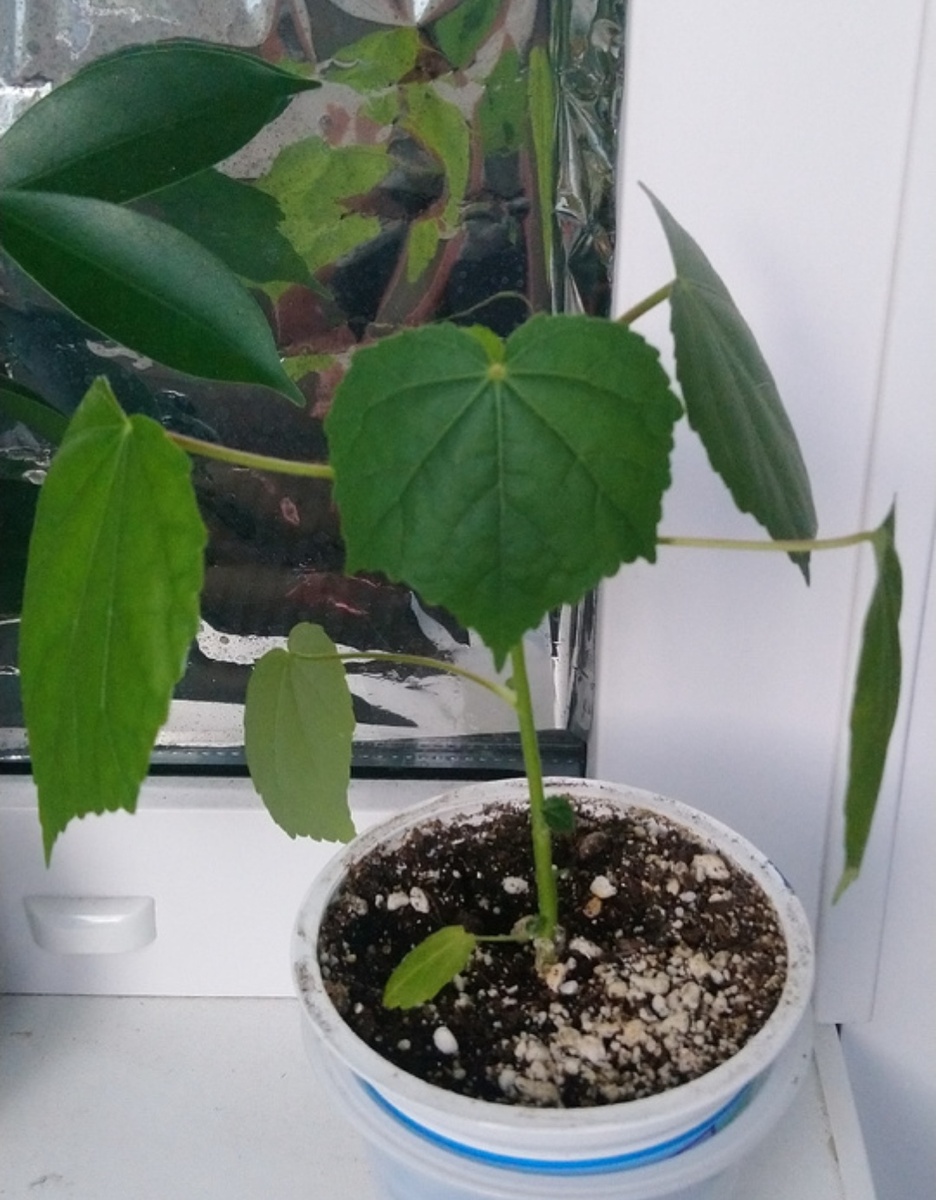 Сентябрь 2024