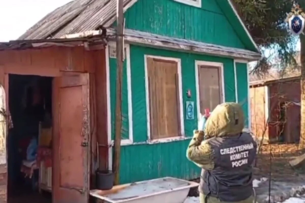    В Тверской области будут судить убийцу пенсионеров в СНТ «Зелёный сад»