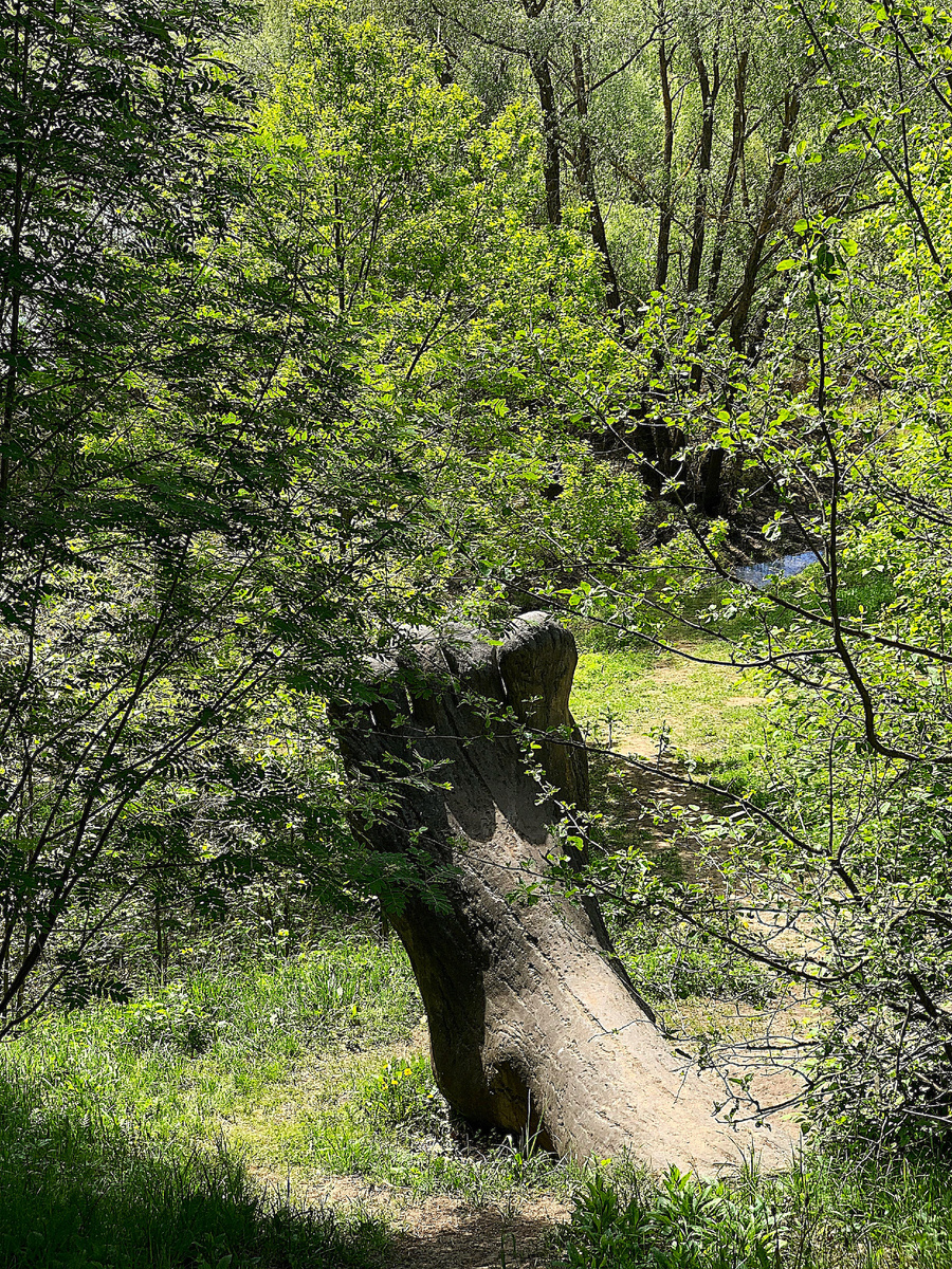 Левая ступня Колокшанского истукана