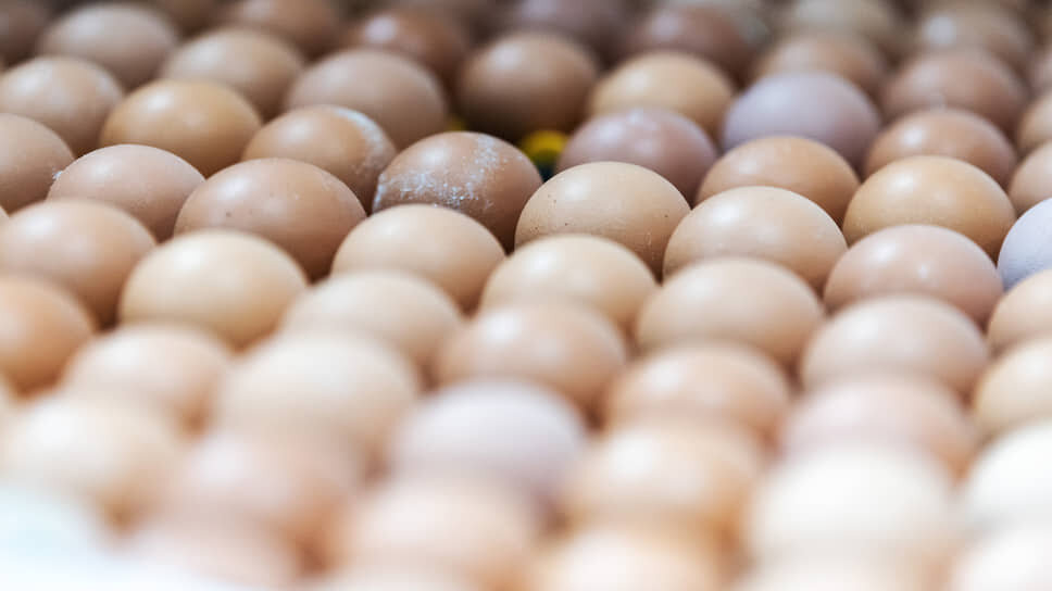 Фото: Игорь Елисеев / Коммерсантъ