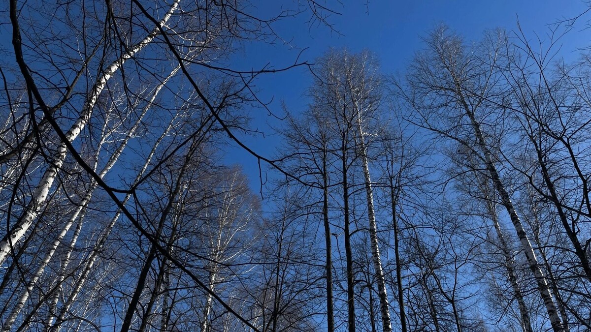     Источник: 1MI