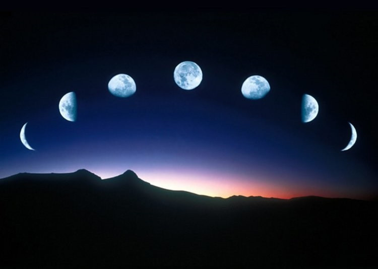 Картинка из открытого доступа