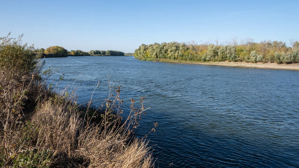 Фото: Олег Харсеев / Коммерсантъ