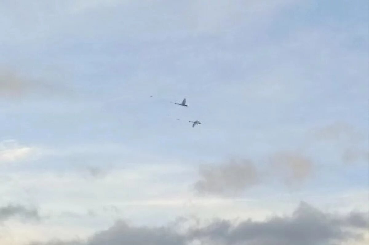    В Бурятию после зимовки вернулись лебеди