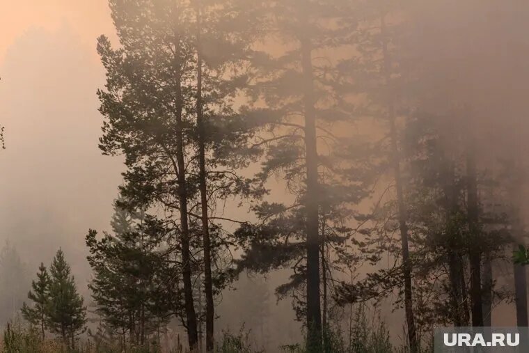 Искусственный интеллект помогает бороться с пожарами. Фото: Илья Московец © URA.RU