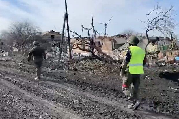     / Источник: © Кадр из видео