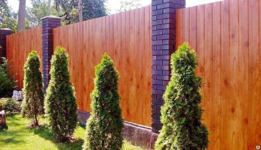 Изображение из открытых источников