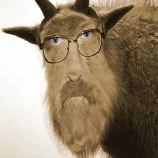 Иллюстрация из Яндекса