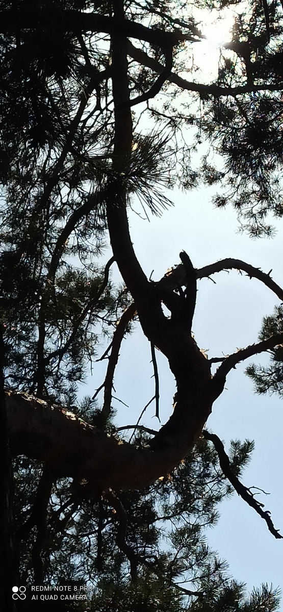 Фото автора статьи 