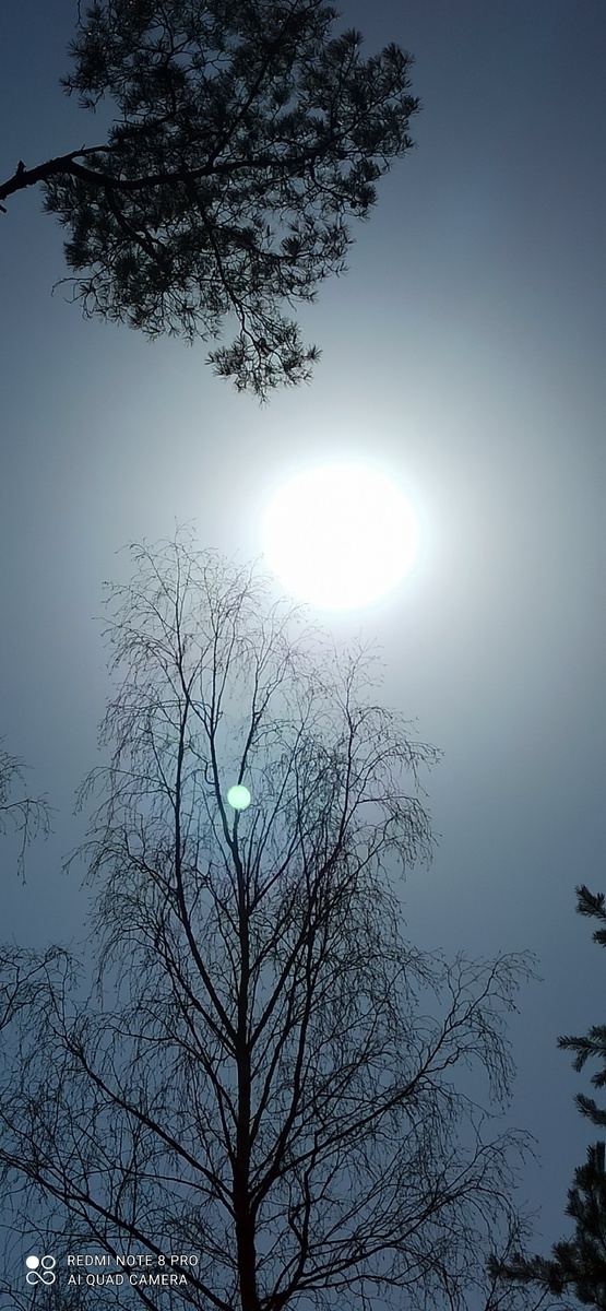 Фото автора статьи 