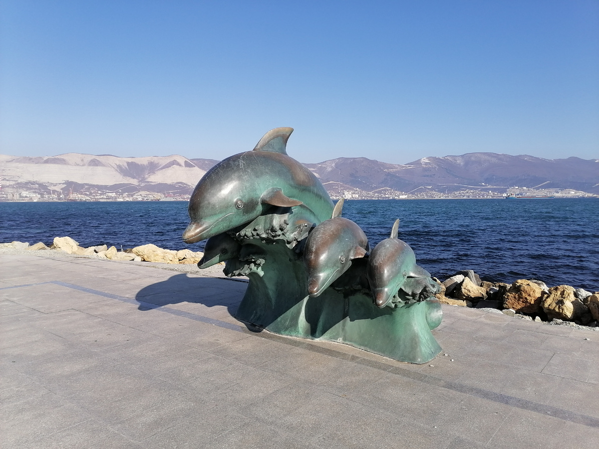 Фото автора. Семейство дельфинов на набережной Новороссийска 