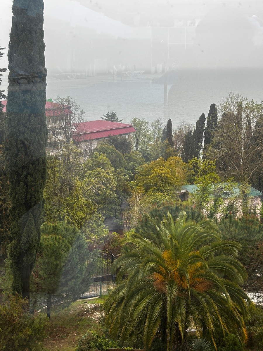 Вид на море из окна