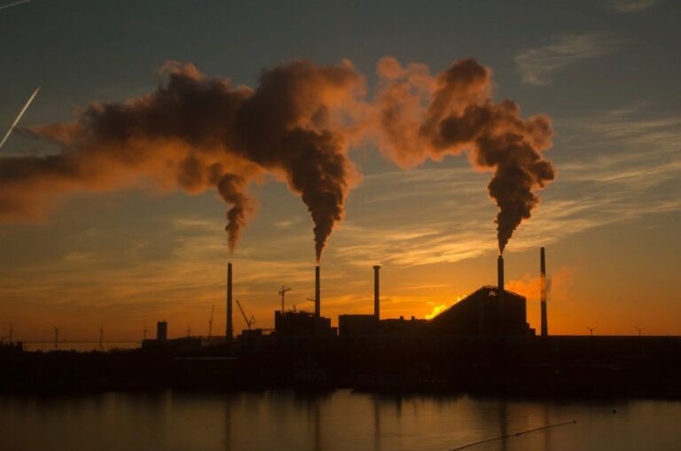    Фото: freepik.com/free-photo Анна Мигинеишвили