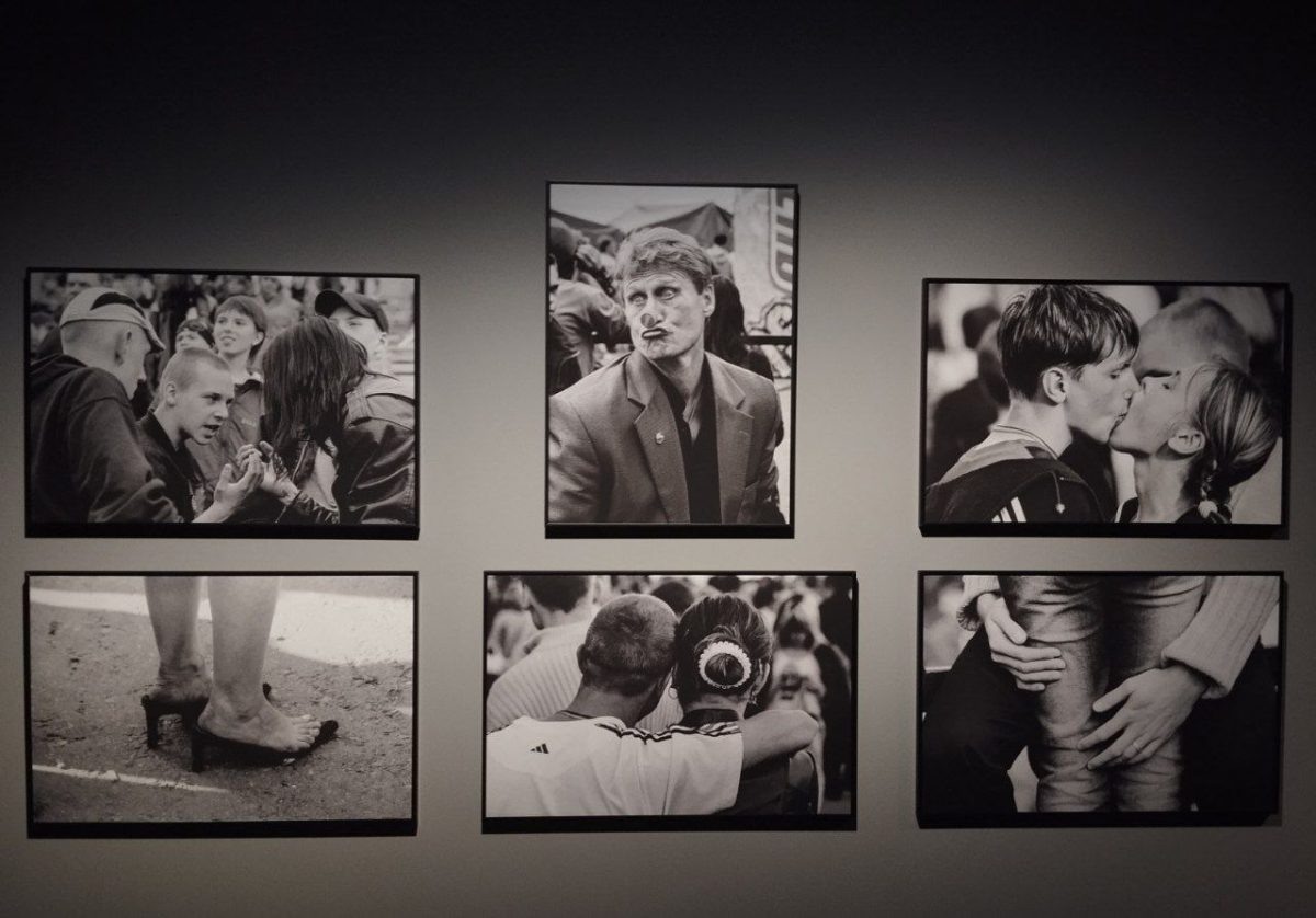    Выставка «Свой город» открылась в \